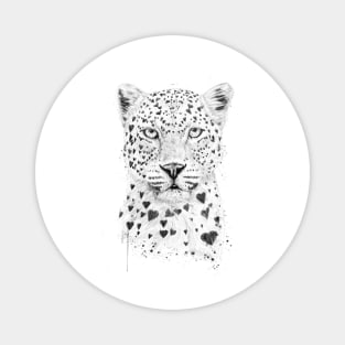 Lovely leopard Magnet